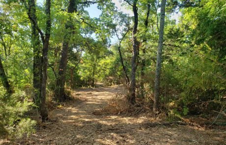 Denton County Wooded Lot